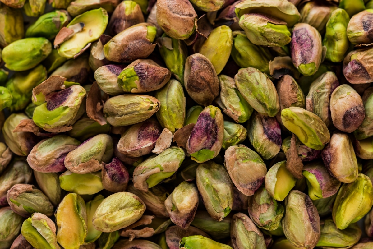 Test Rezept finale Vorlage - 